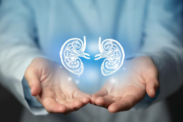 kidney issues medical concept. Photo of female doctor, empty space.